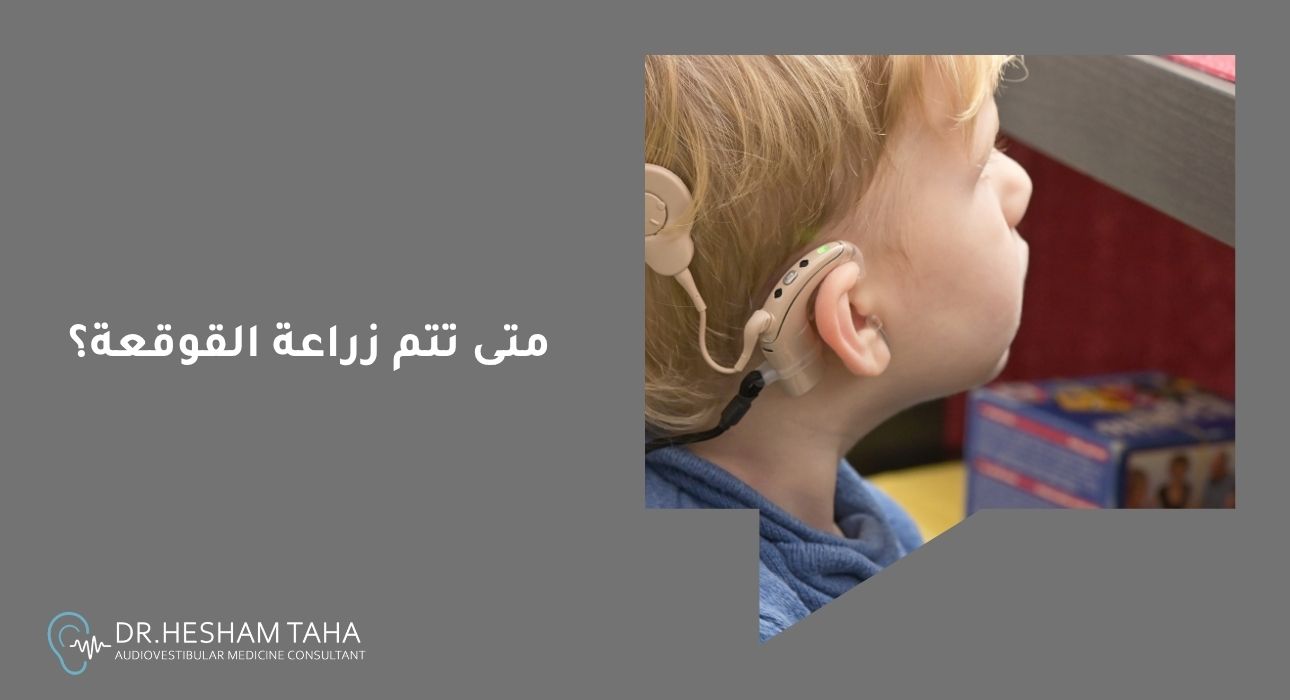 متى تتم زراعة القوقعة