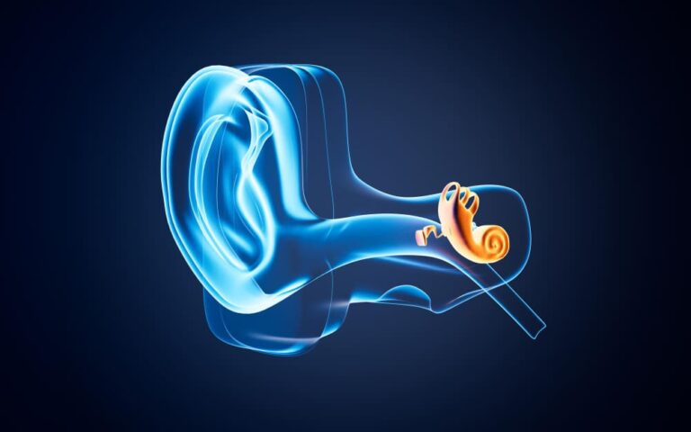 ما بعد زراعة القوقعة